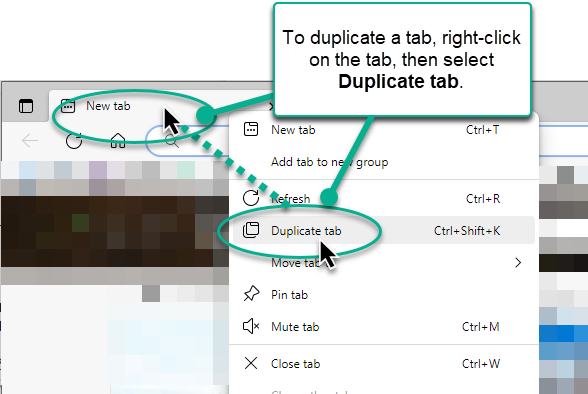 Duplicate